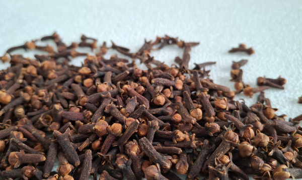 Clove Export