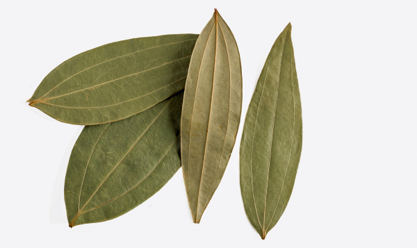Bay Leaf Export