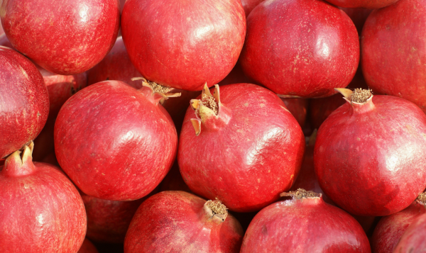 Pomegranate Export