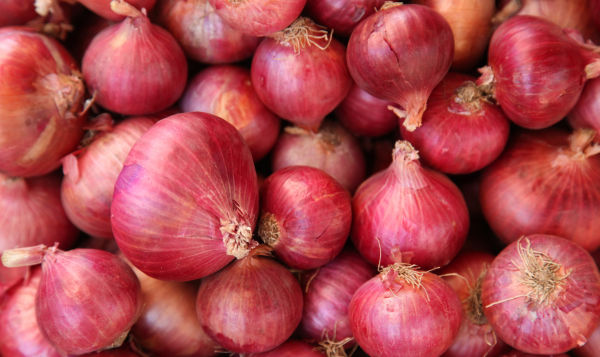 Onion Export