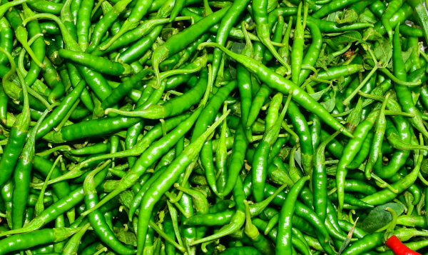 Green Chilli Export